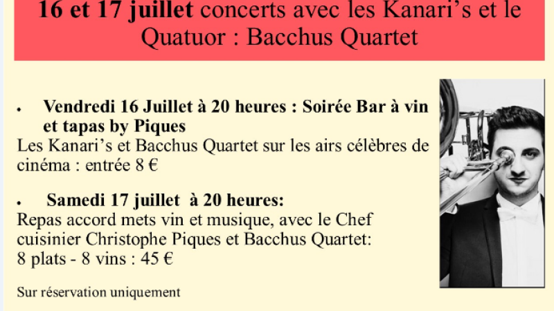 Musique  au Domaine de la Haille