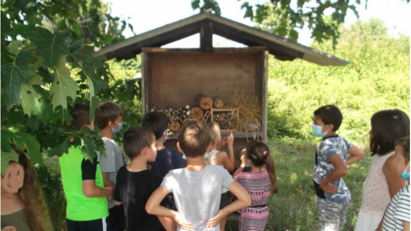 L'école de la nature ou la nature à l'école