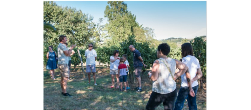 Avec l’été, le domaine Le Broca ouvre ses portes!