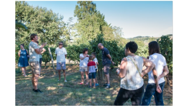 Avec l’été, le domaine Le Broca ouvre ses portes!