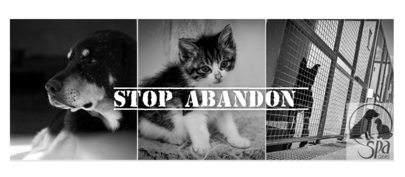 La SPA du Gers lance une campagne contre  les abandons d'animaux