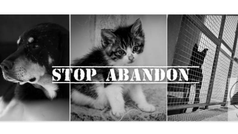 La SPA du Gers lance une campagne contre  les abandons d'animaux