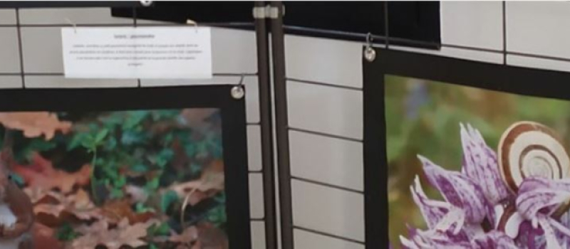 Naturographie exposition photos