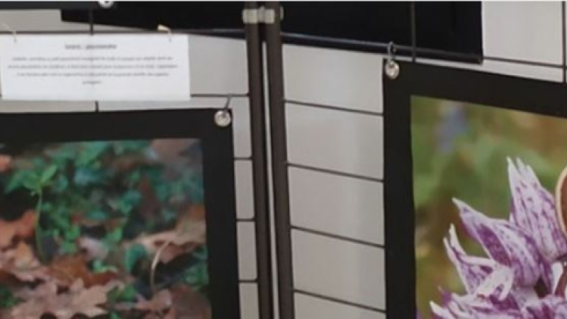 Naturographie exposition photos