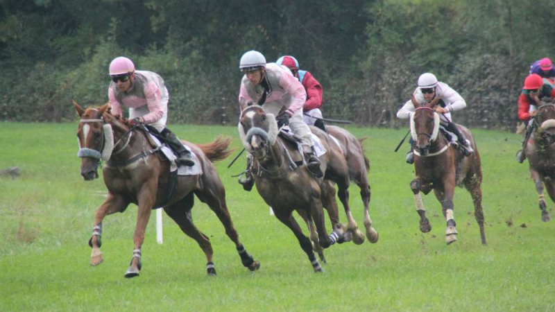 Courses de chevaux et repas