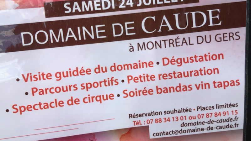 Vineart en Gascogne à Caude