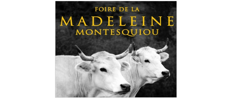 Le président de l'association La Foire de la Madeleine sur DFM 930 jeudi