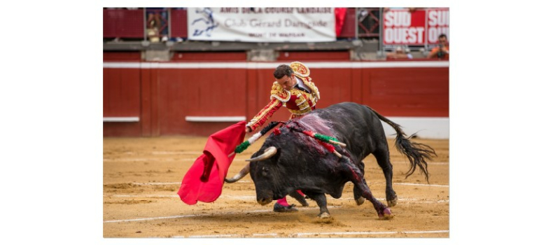 Antonio Ferrera seul face à six toros d'Adolfo Martin à Mont de Marsan