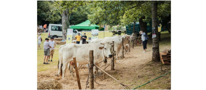 Plein succès pour la 3èmeédition de la Foire de la Madeleine