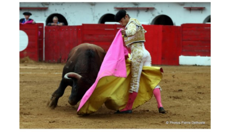 Riscle: pari réussi pour cette première corrida !