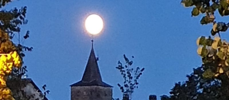 Le marché gourmand de nuit du 25 août n'aura pas lieu !