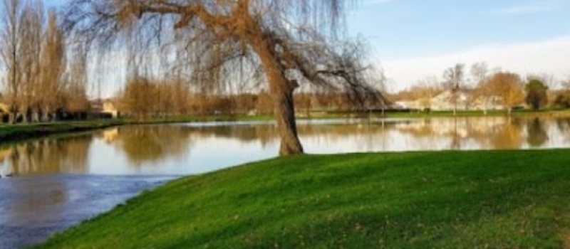 Un pique-nique champêtre autour du lac de Fleurance
