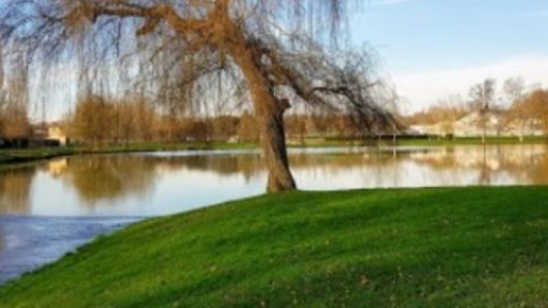 Un pique-nique champêtre autour du lac de Fleurance