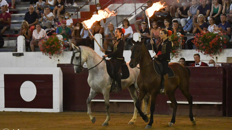 Chevaux et passions du Sud aux arènes samedi
