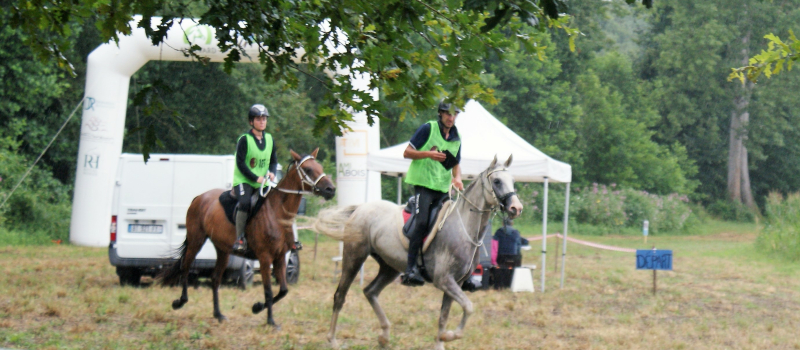 la course d'endurance se   porte bien