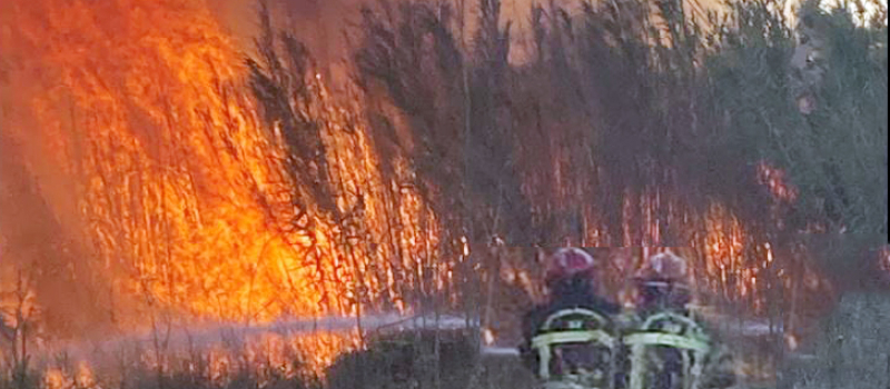 Pas de temps mort pour les pompiers gersois en renfort dans l'Aude