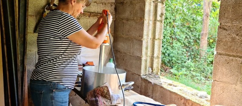 ca pousse toujours au jardin partagé des Ormeaux