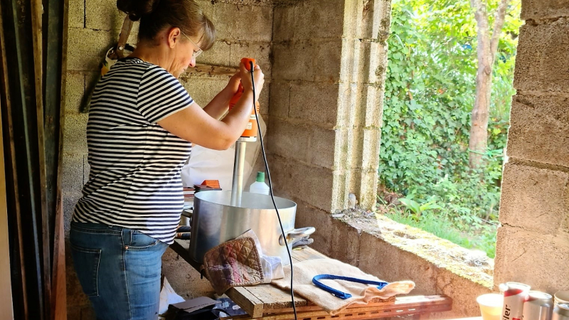 ca pousse toujours au jardin partagé des Ormeaux