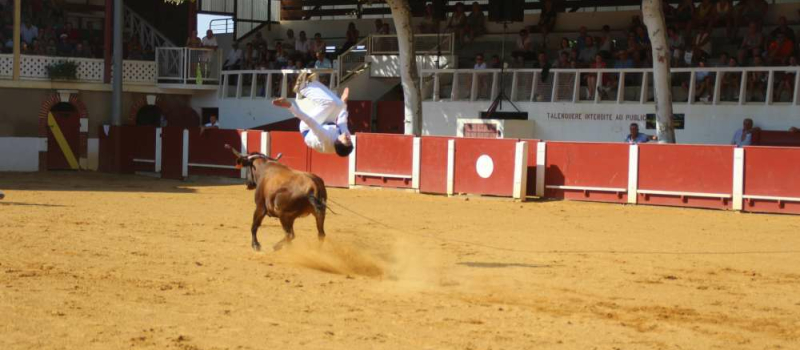 Course landaise