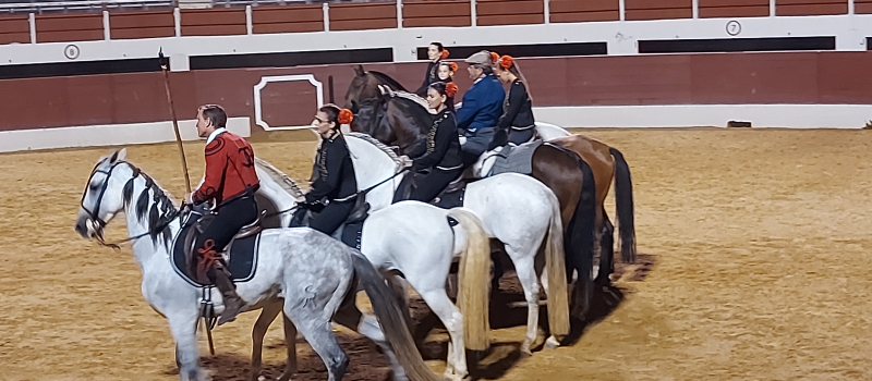 Chevaux et passions du sud: un beau spectacle aux arènes samedi soir