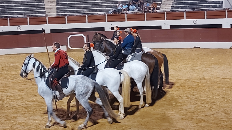 Chevaux et passions du sud: un beau spectacle aux arènes samedi soir