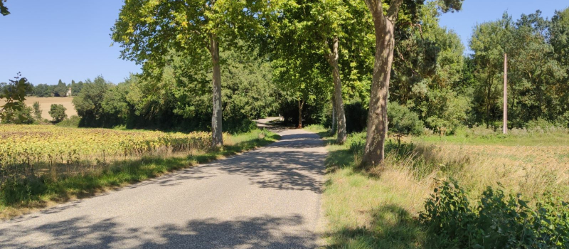Accident mortel d'un jeune homme de 20 ans