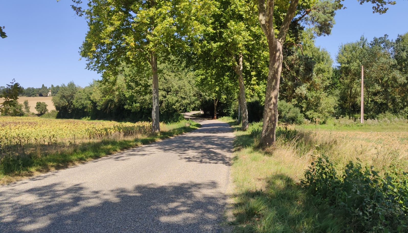 Une petite route très plaisante malgré ces maudits platanes !