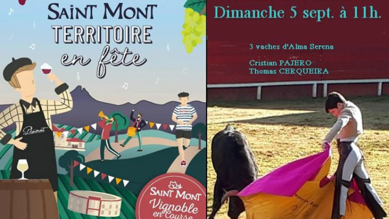 Dimanche  la "Tienta" des Vignerons aux Arènes