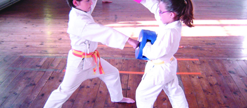 Le Budo Shotokan Karaté Club dit oui au Pass'Sport
