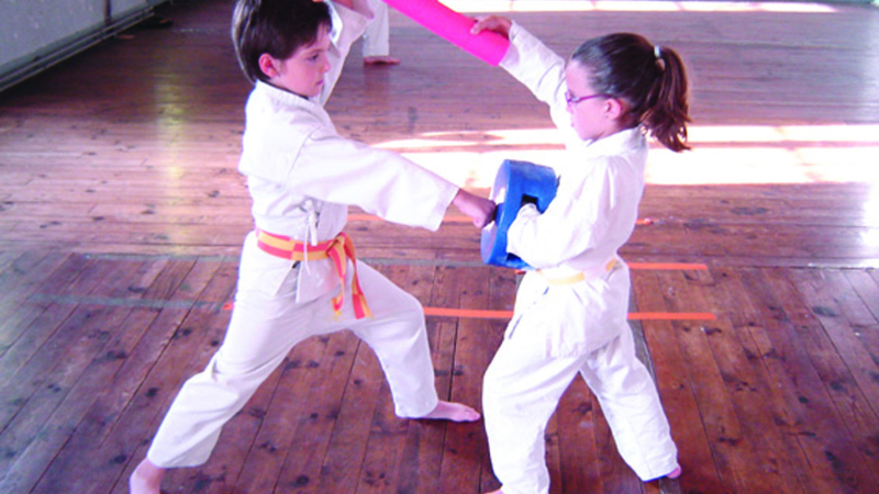 Le Budo Shotokan Karaté Club dit oui au Pass'Sport