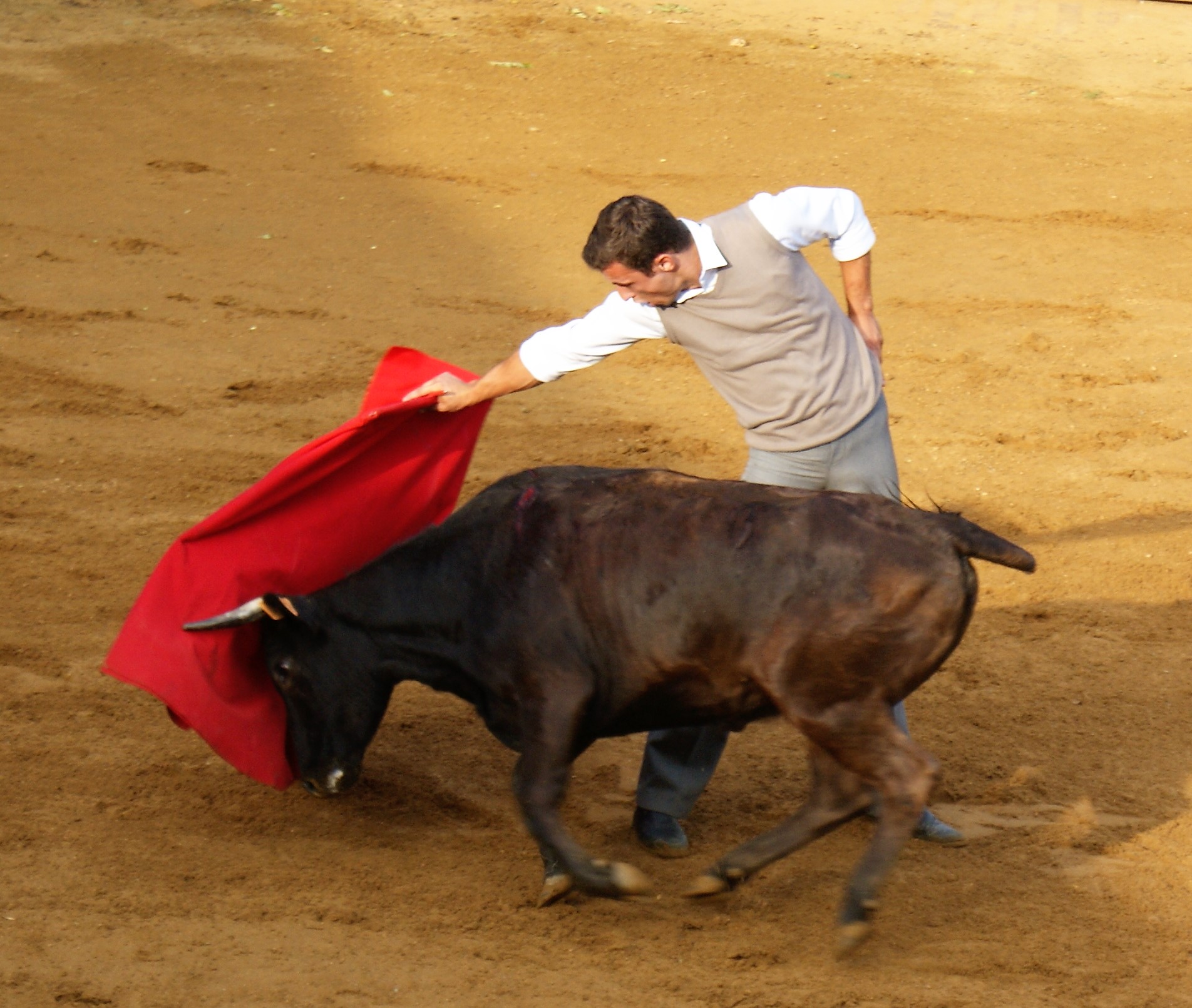 Le Maestro Dorian Canton revient au Arènes du Lartet