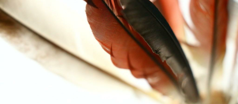Bulletin Plume « moins 5 »
