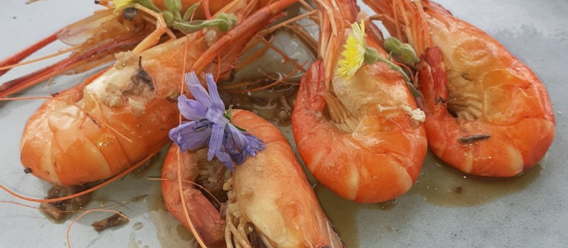 Gambas d’Ici, c’est par là !