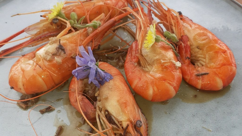 Gambas d’Ici, c’est par là !