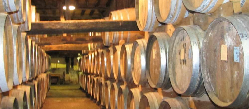 Armagnac et canard gras