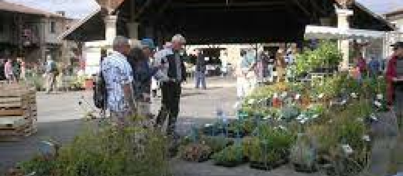 Les automnales la fête des plantes