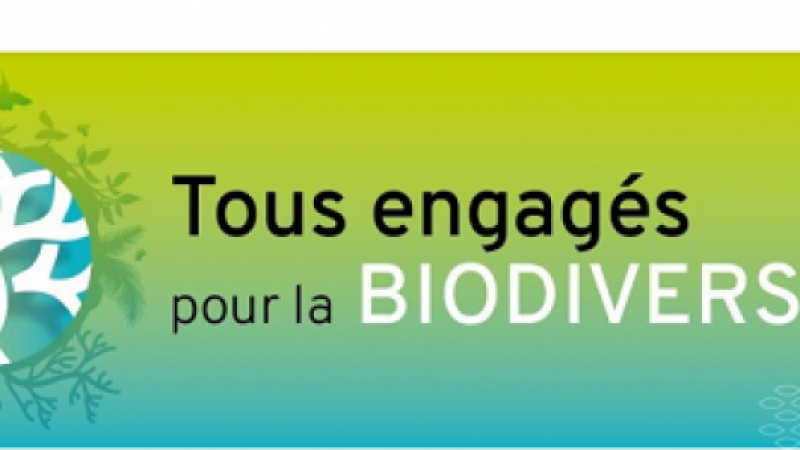 Plus que quelques heures pour voter