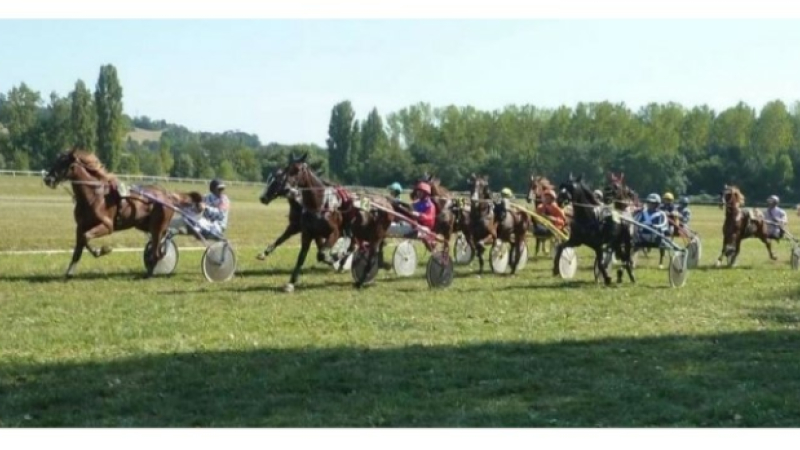 Courses de trot à Gimat ce lundi