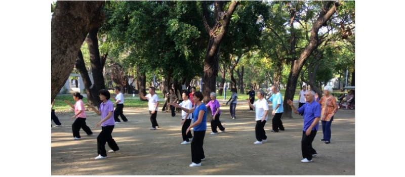 Stage de Qi Gong Taï Chi Chuan à Berrac