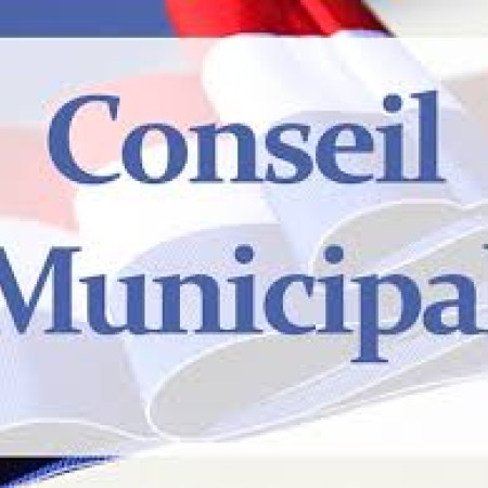 conseil municipal.jpg