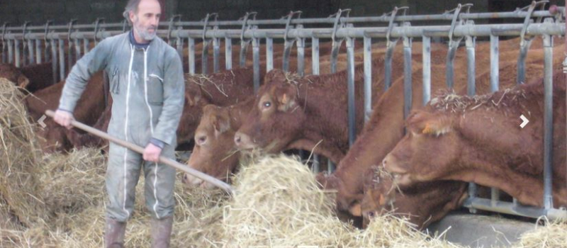 Anticiper et préparer la transmission de son exploitation agricole