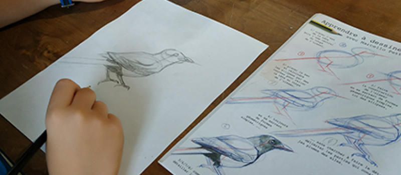 ​​​​​​​Jeunes artistes, bienvenus à l’atelier MARCO.