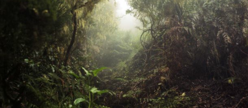 Rendez-vous d'automne au centre d'art et de photographie
