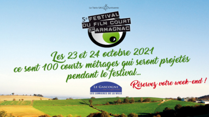 Cinq ans et 100 films en compétition