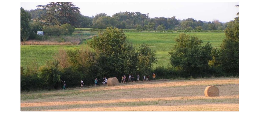 Capture d’écran 2021-08-04 001828.jpg