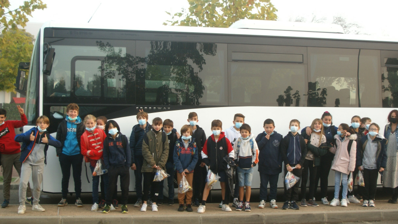 Art et biologie au programme de la sortie des classes de 6ème