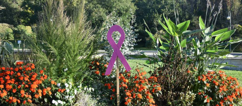 Octobre rose