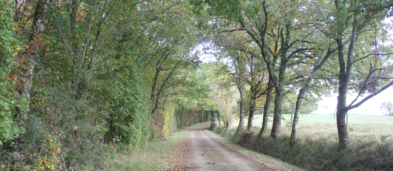 L'Office de Tourisme propose sa balade de l'automne au départ de Callian