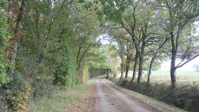 L'Office de Tourisme propose sa balade de l'automne au départ de Callian