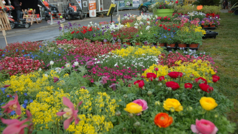 Foire des arbres et du jardin, c'est dimanche 14 novembre